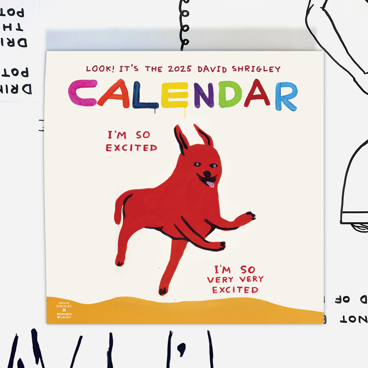 David Shrigley 2025 Calendar Shrig Shop