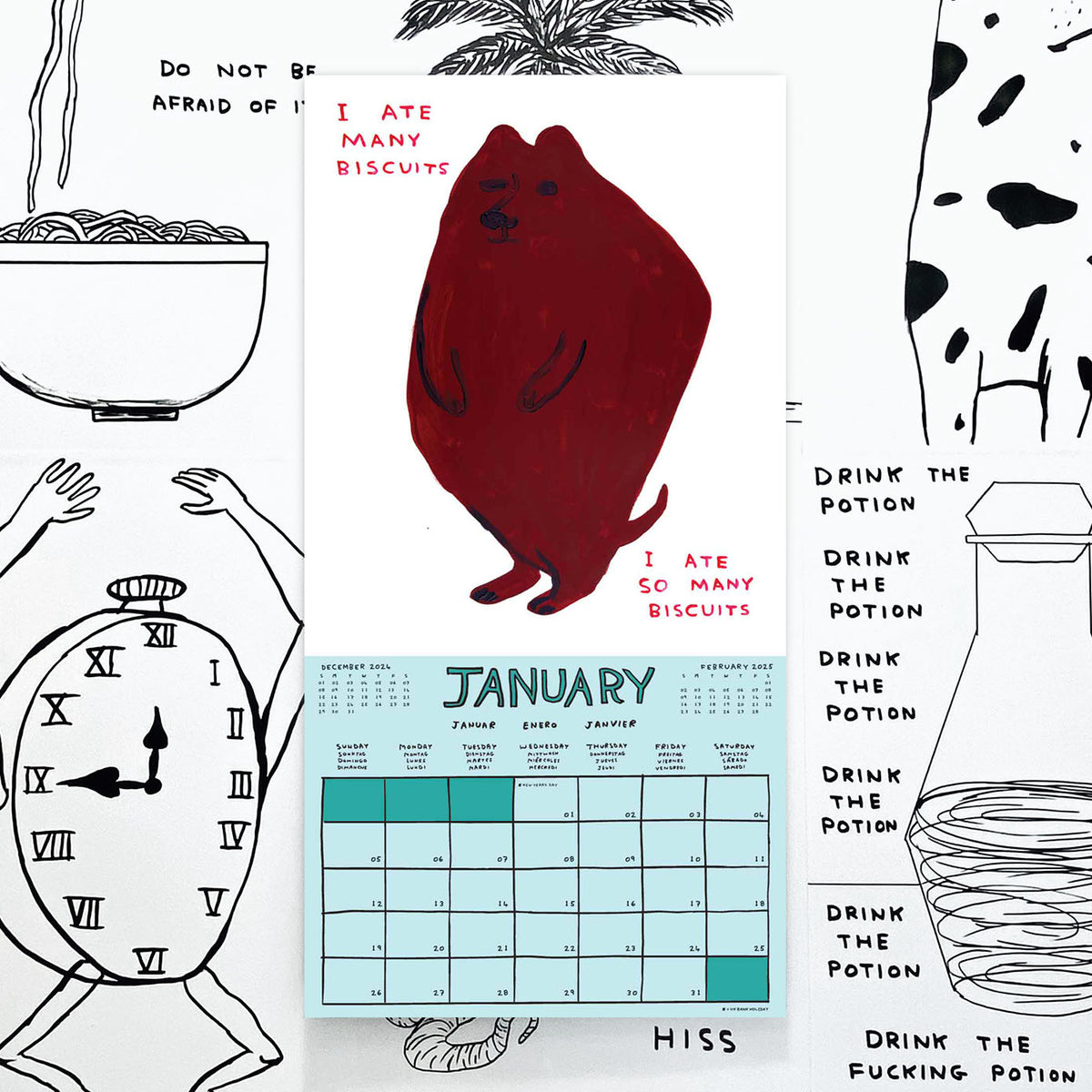 David Shrigley 2025 Calendar Shrig Shop