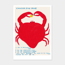 Load image into Gallery viewer, Signs of the Zodiac