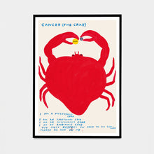 Load image into Gallery viewer, Signs of the Zodiac