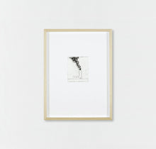 Load image into Gallery viewer, Untitled (Portfolio of 16 Etchings) (2005)