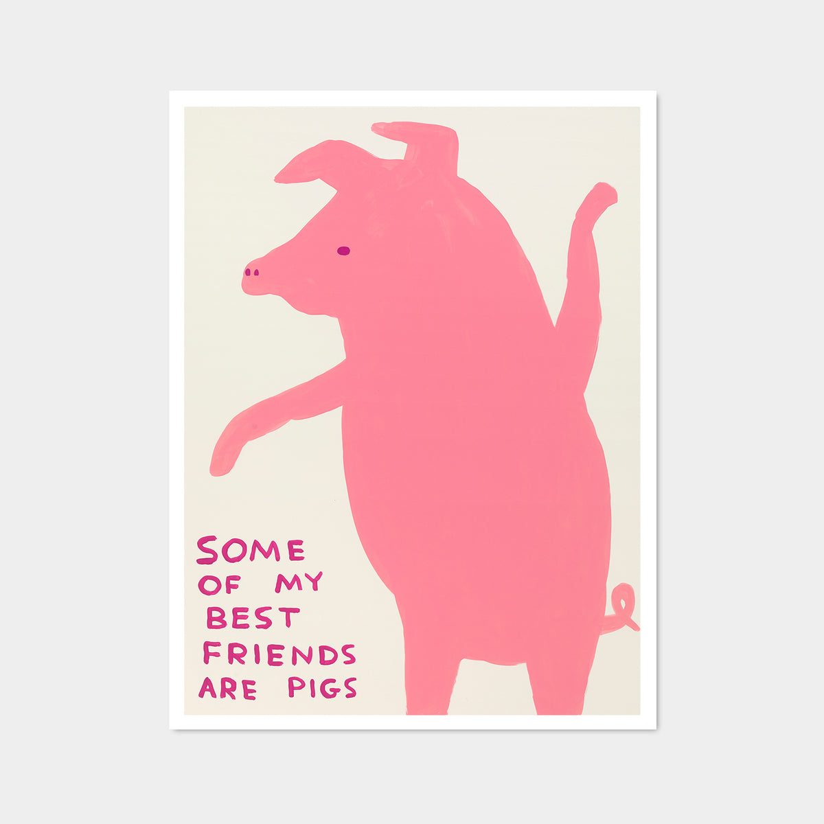 David Shrigley Posters - Some of My Best Friends Are Pigs