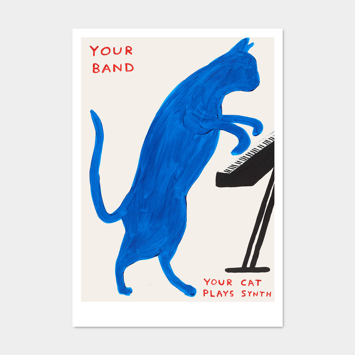 David Shrigley Postcards - Your Band Synth Cat – Shrig Shop