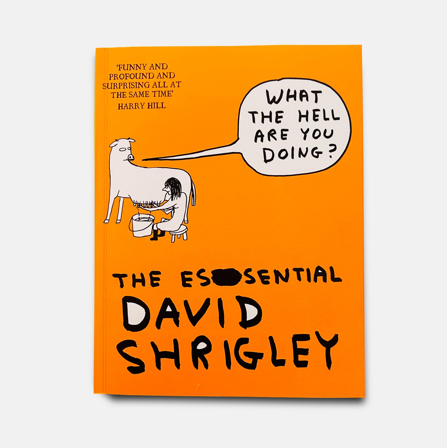 What the Hell Are You Doing? The Essential David Shrigley