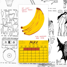 Load image into Gallery viewer, Shrigley 2027 Calendar

