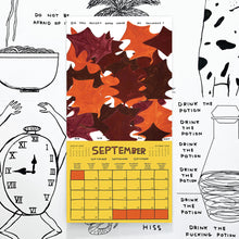 Load image into Gallery viewer, Shrigley 2025 Calendar
