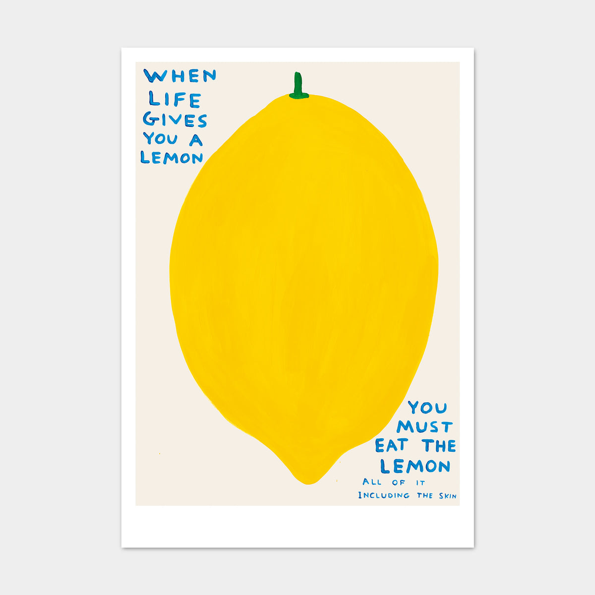 David Shrigley Postcards - When Life Gives You A Lemon – Shrig Shop