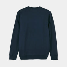 Load image into Gallery viewer, Blue Jumper
