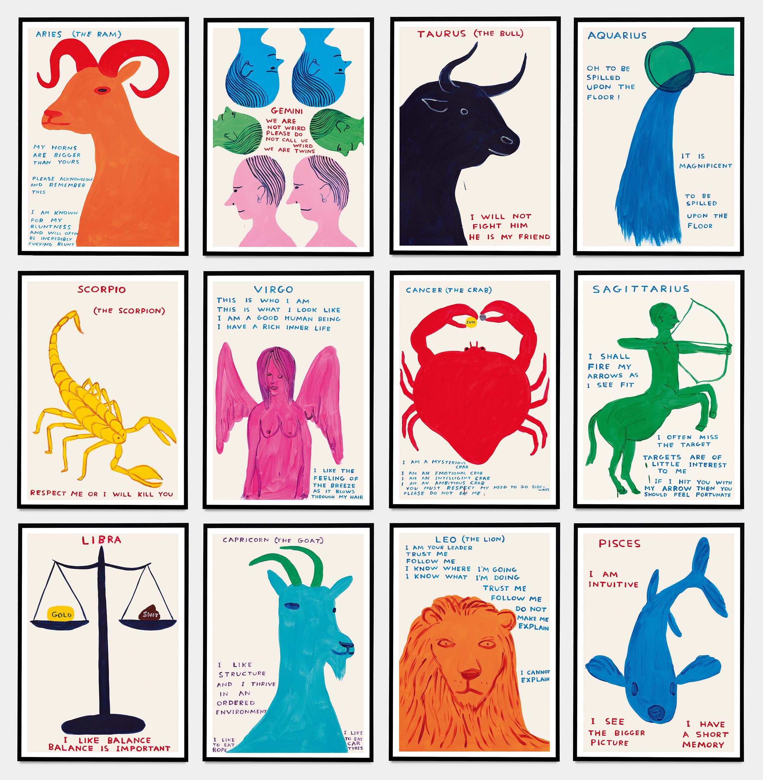 新品未使用 David Shrigley ポスター フレームなし Individual Signs of the Zodiac – David Shrigley Poster | Shrig Shop