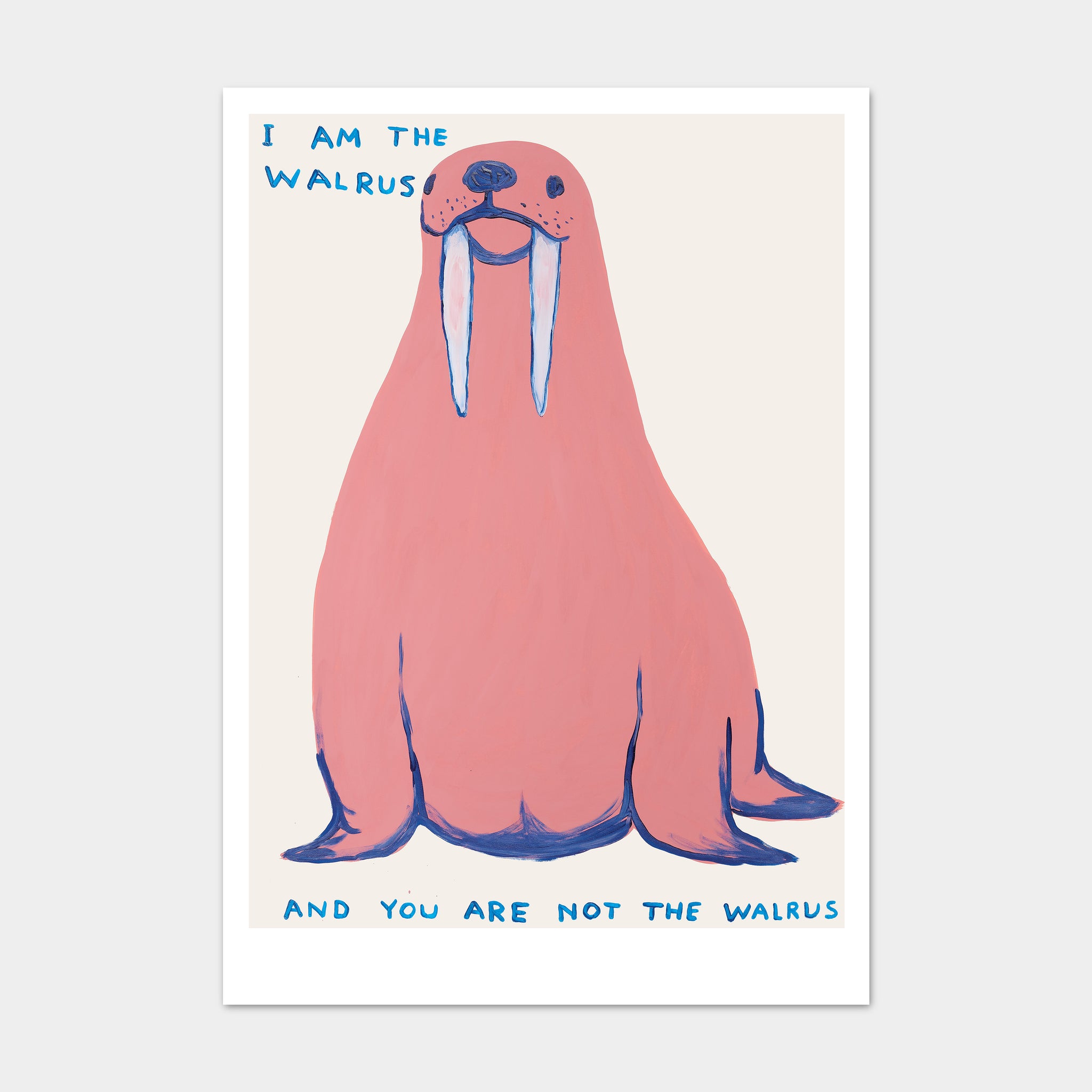 David Shrigley Postcards I Am The Walrus Shrig Shop David shrigley postcards i am the walrus shrig shop
