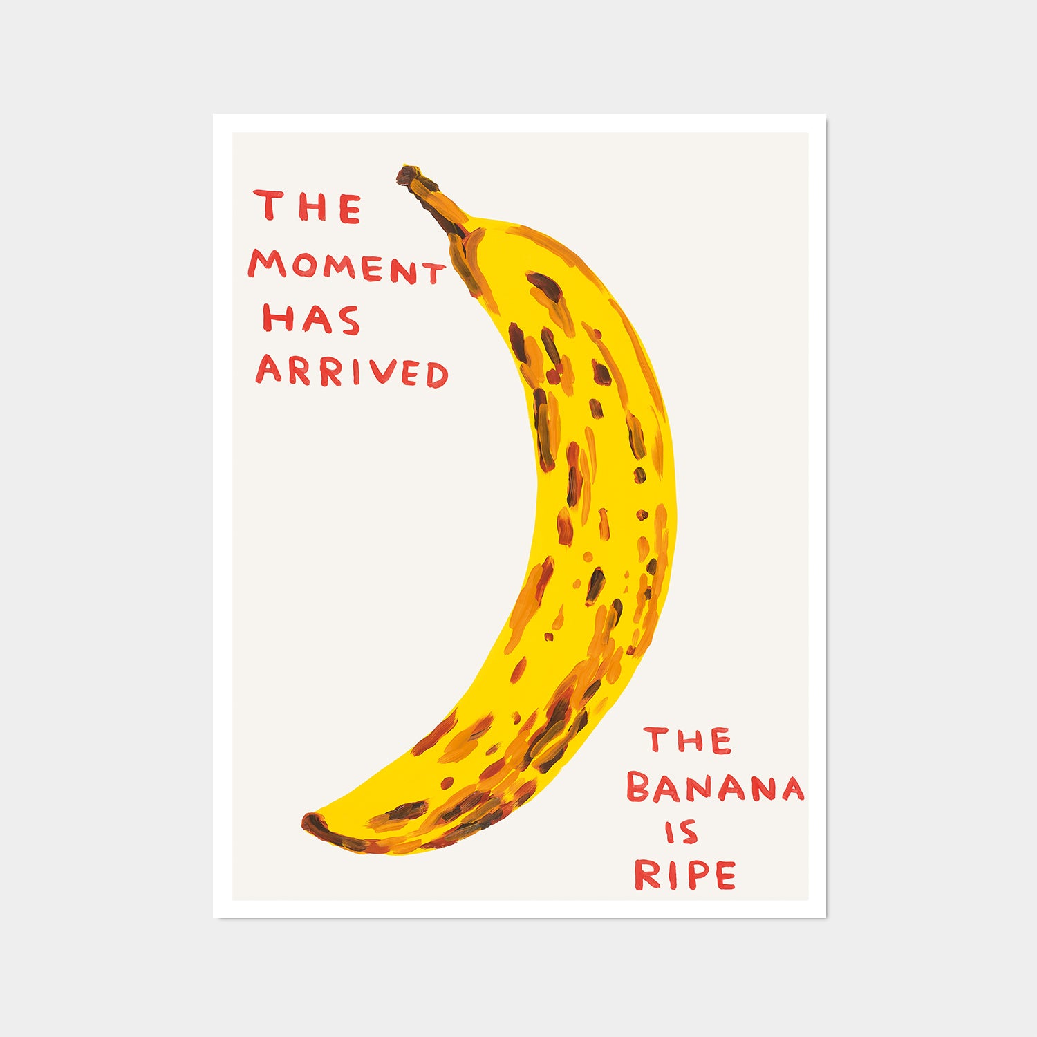 David Shrigley Posters – Shrig Shop
