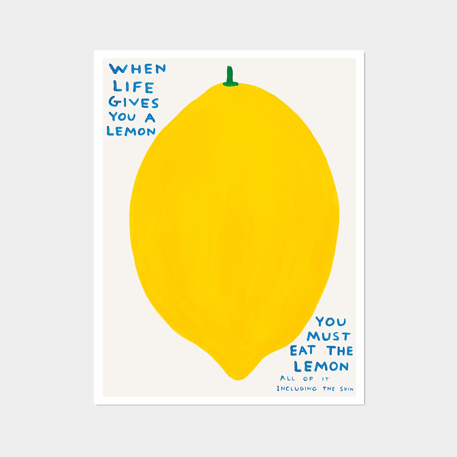 David Shrigley / IT WAS WORTHWHILE DOING THIS - イラスト