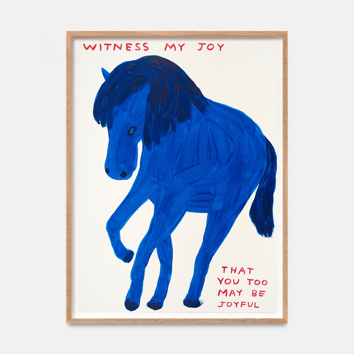 David Shrigley Limited Edition - Witness My Joy (2022) – Shrig Shop