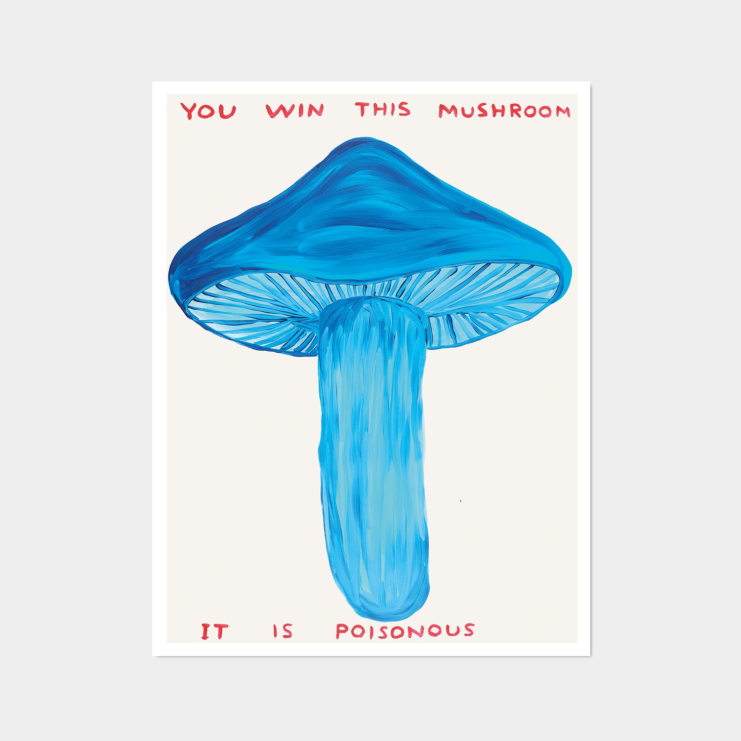 David Shrigley Posters – Shrig Shop